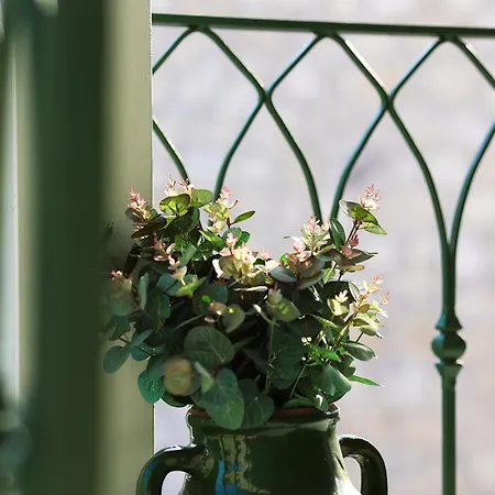 Voger Pino Szálloda