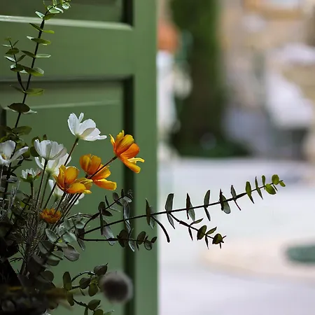 Voger Pino Szálloda *