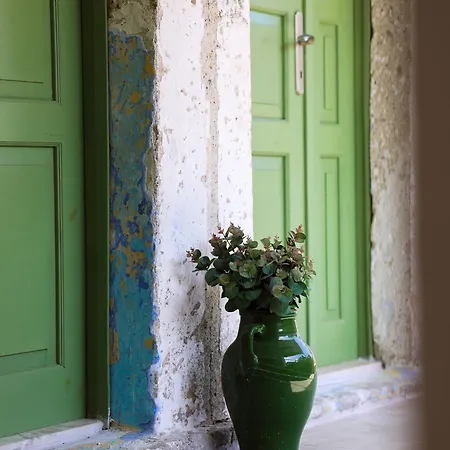 Voger Pino 阿拉恰特