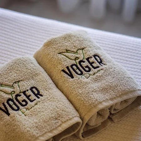 Voger Pino 阿拉恰特