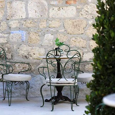 Voger Pino 阿拉恰特