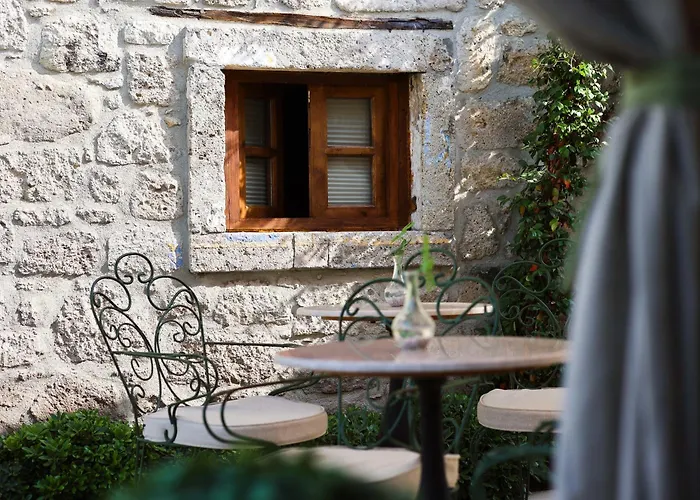 Voger Pino Hotel *